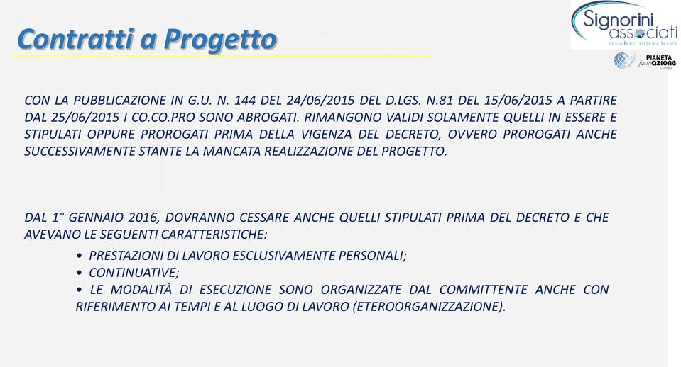 REALIZZAZIONE DEL PROGETTO.