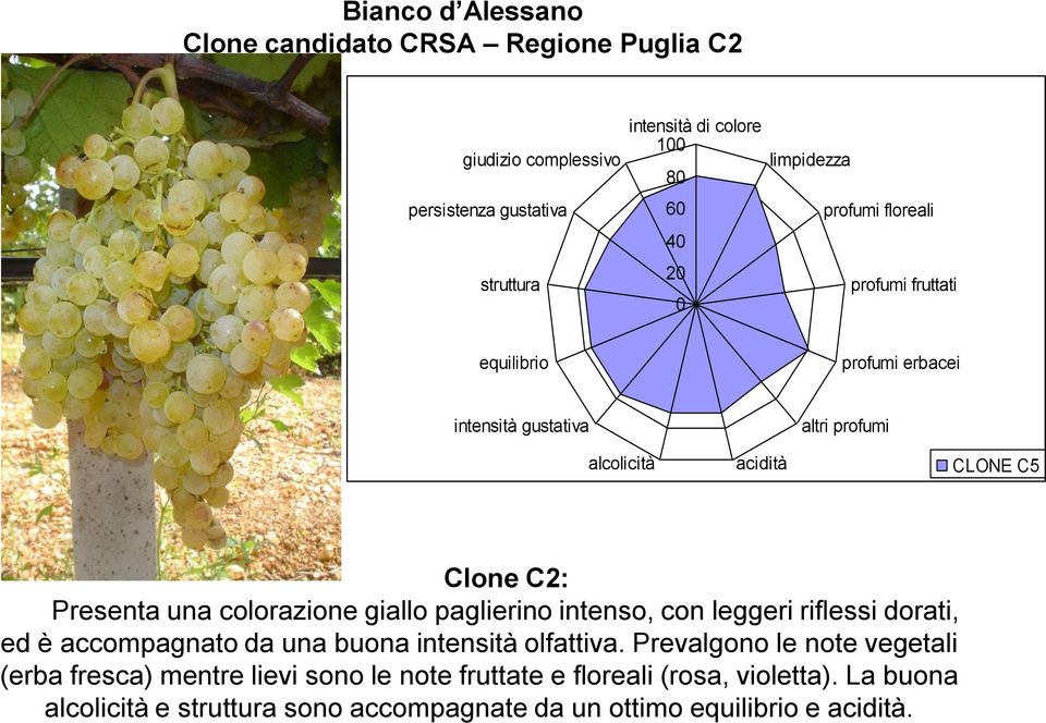 una colorazione giallo paglierino intenso, con leggeri riflessi dorati, ed è accompagnato da una buona intensità olfattiva.