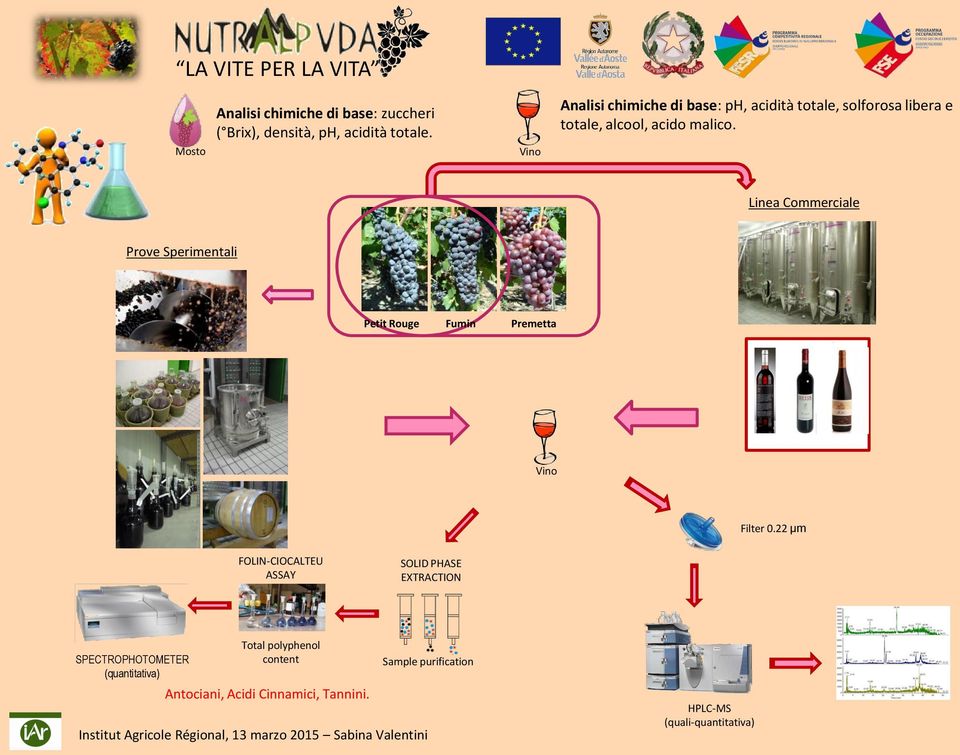 Linea Commerciale Prove Sperimentali Petit Rouge Fumin Premetta Vino Filter 0.
