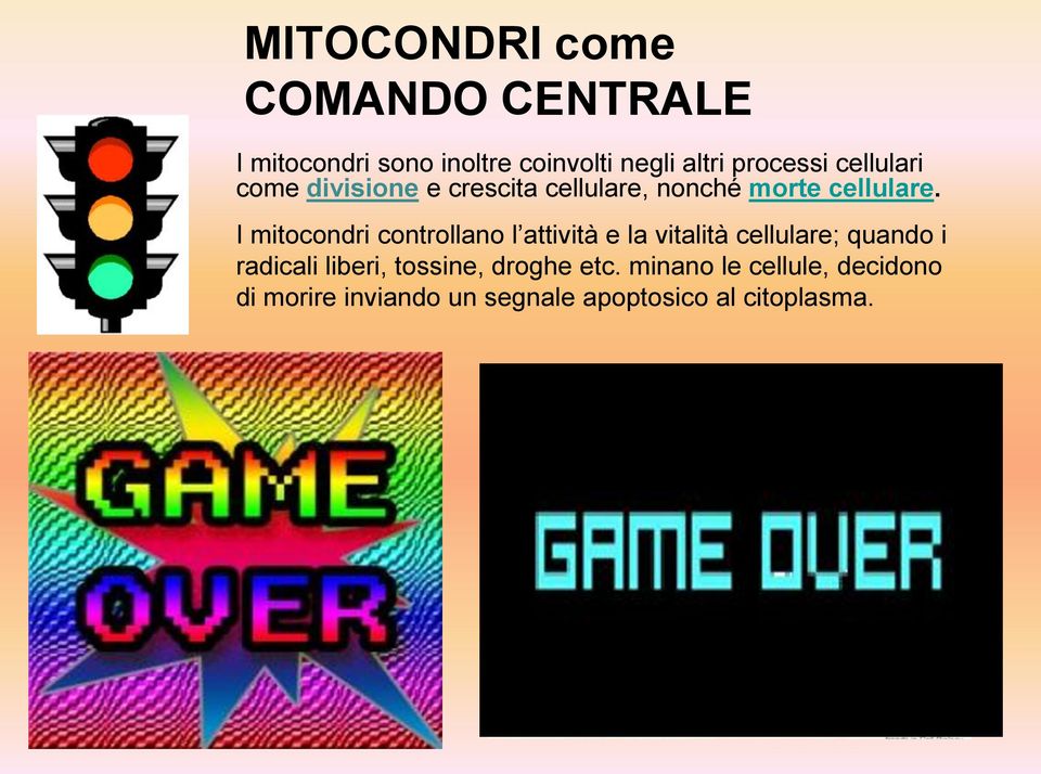 I mitocondri controllano l attività e la vitalità cellulare; quando i radicali liberi,