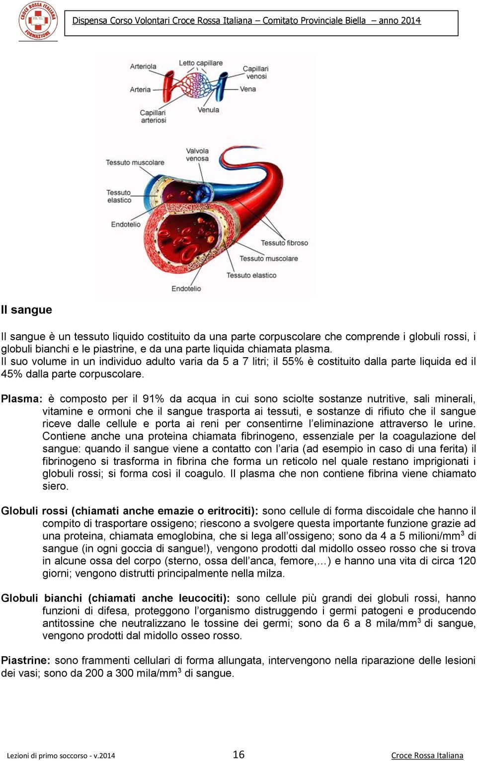 Plasma: è cmpst per il 91% da acqua in cui sn scilte sstanze nutritive, sali minerali, vitamine e rmni che il sangue trasprta ai tessuti, e sstanze di rifiut che il sangue riceve dalle cellule e prta