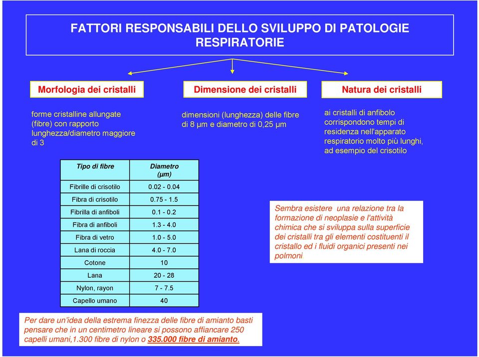 lunghi, ad esempio del crisotilo Tipo di fibre Diametro (µm) Fibrille di crisotilo 0.02-0.04 Fibra di crisotilo 0.75-1.5 Fibrilla di anfiboli 0.1-0.2 Fibra di anfiboli 1.3-4.0 Fibra di vetro 1.0-5.