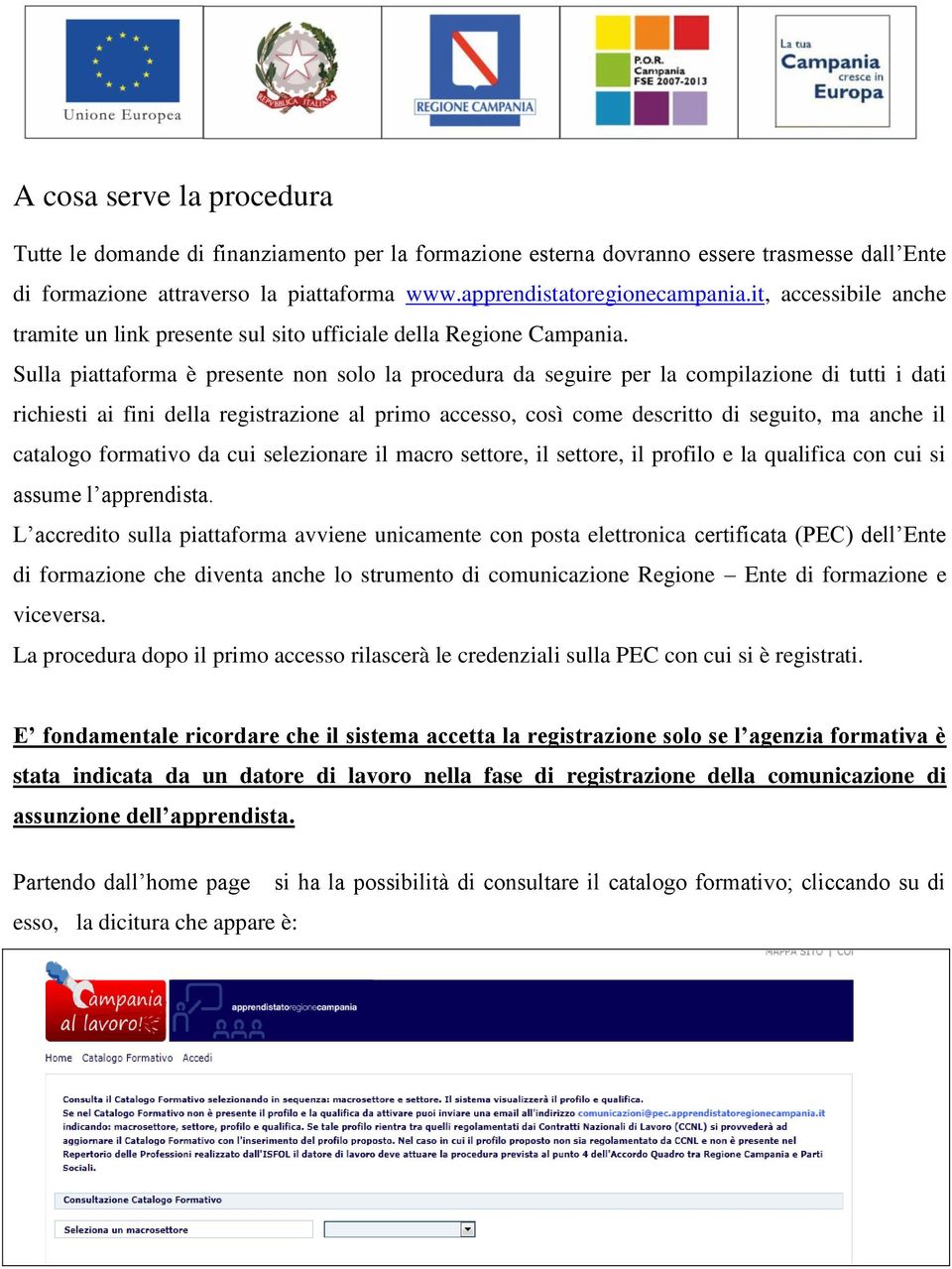 Sulla piattaforma è presente non solo la procedura da seguire per la compilazione di tutti i dati richiesti ai fini della registrazione al primo accesso, così come descritto di seguito, ma anche il