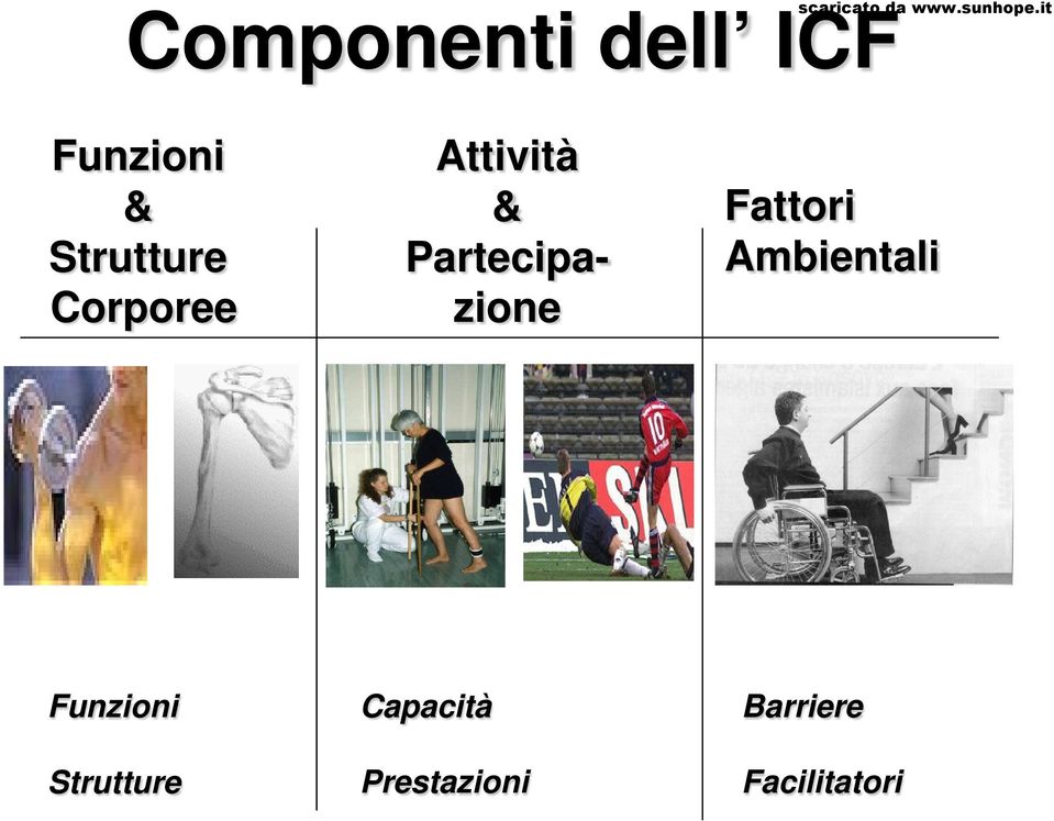 Partecipazione Fattori Ambientali