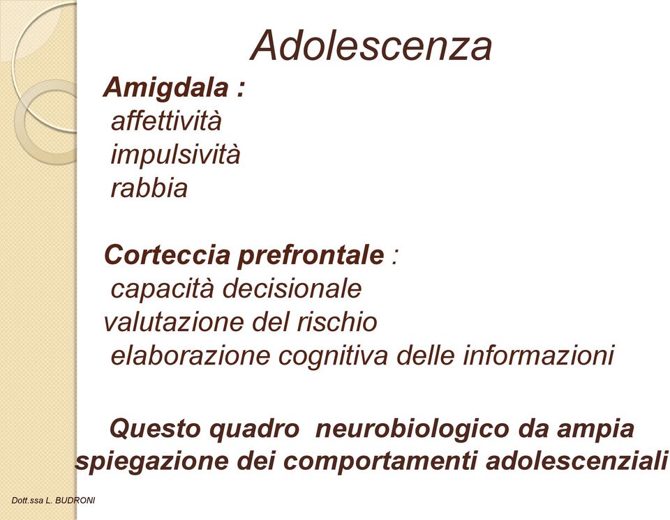 elaborazione cognitiva delle informazioni Questo quadro