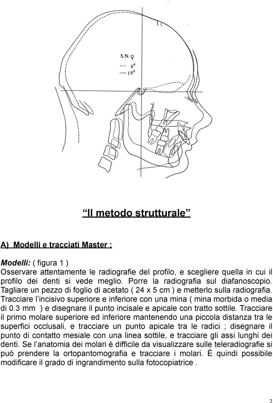 Tracciare l incisivo superiore e inferiore con una mina ( mina morbida o media di 0.3 mm ) e disegnare il punto incisale e apicale con tratto sottile.