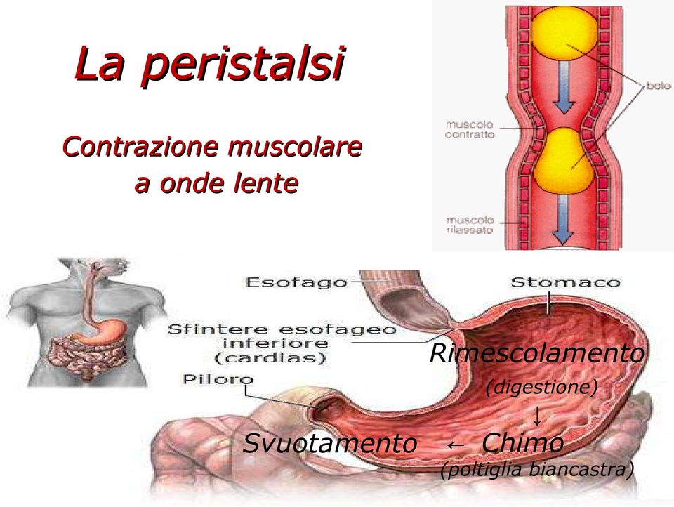 Svuotamento Rimescolamento