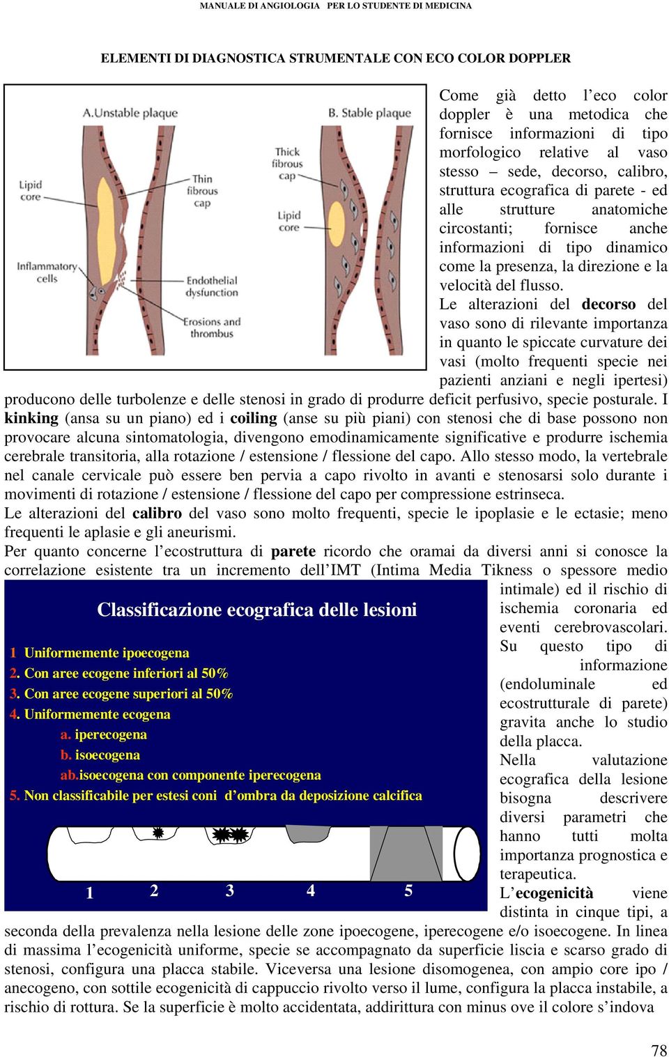 Le alterazioni del decorso del vaso sono di rilevante importanza in quanto le spiccate curvature dei vasi (molto frequenti specie nei pazienti anziani e negli ipertesi) producono delle turbolenze e