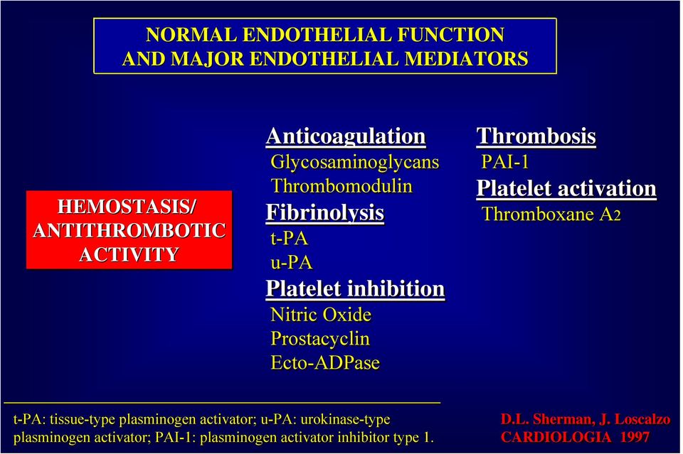 Ecto-ADPase Thrombosis PAI-1 Platelet activation Thromboxane A2 t-pa: tissue-type plasminogen activator; u-pa: