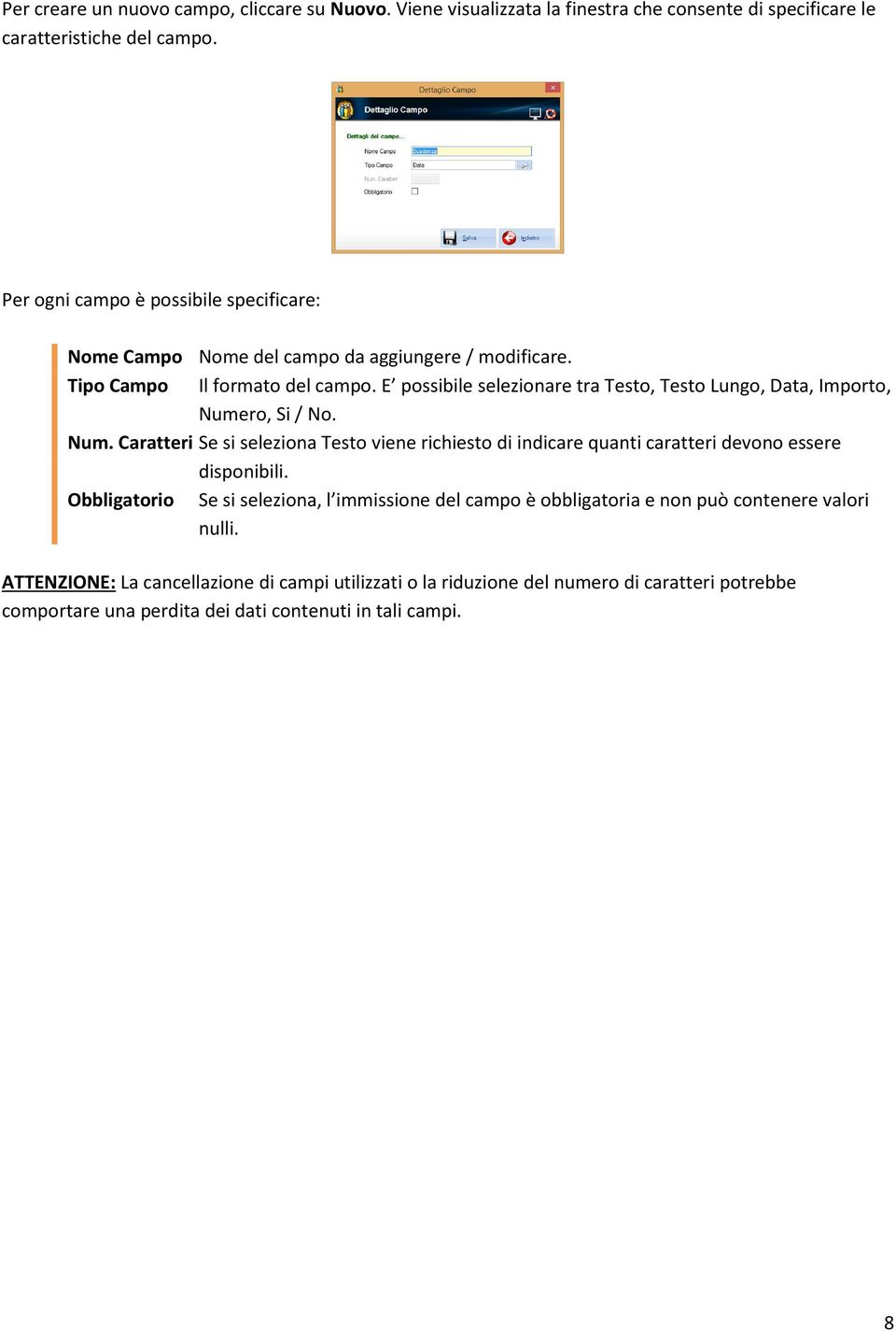 E possibile selezionare tra Testo, Testo Lungo, Data, Importo, Numero, Si / No. Num. Caratteri Se si seleziona Testo viene richiesto di indicare quanti caratteri devono essere disponibili.