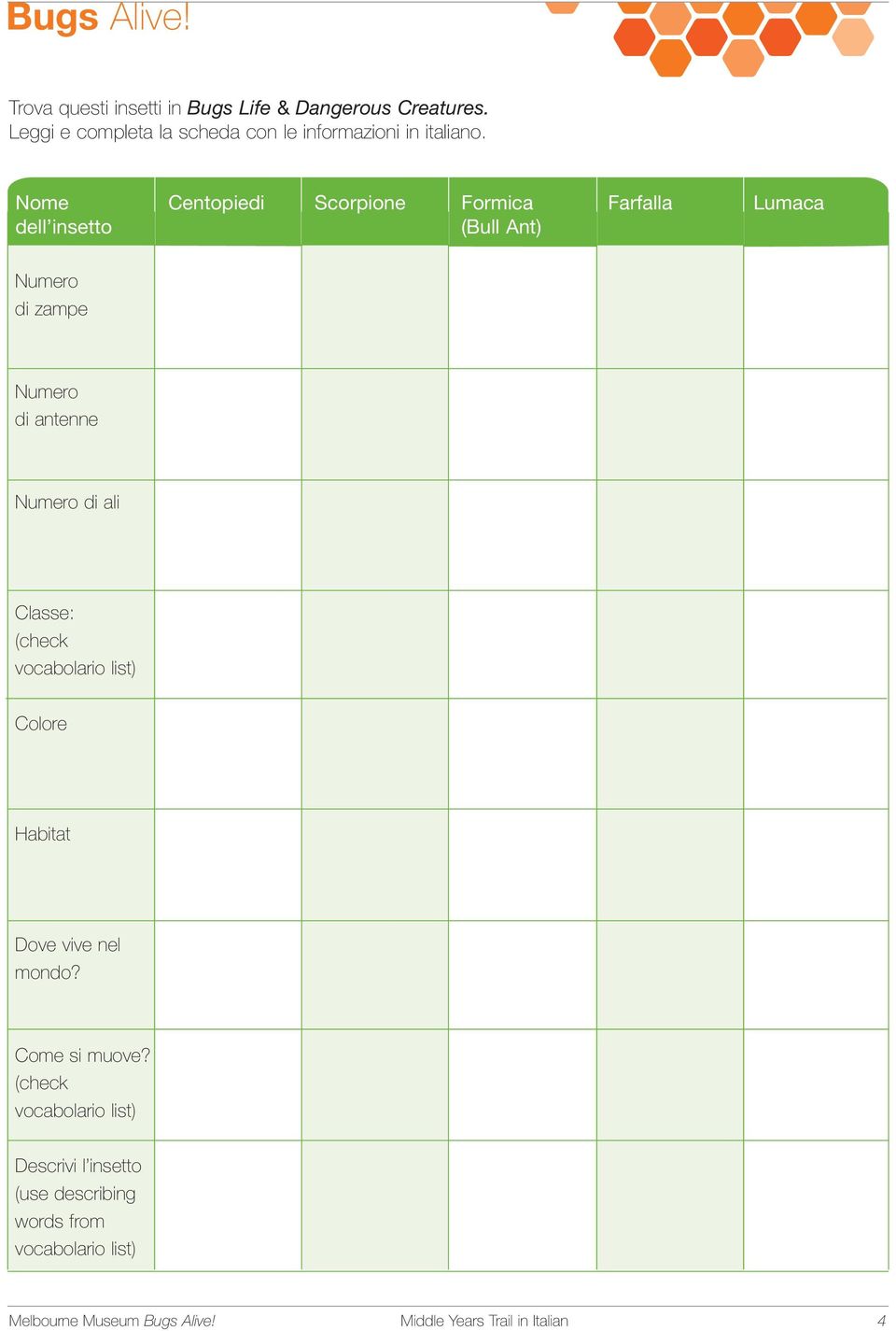 ali Classe: (check vocabolario list) Colore Habitat Dove vive nel mondo? Come si muove?