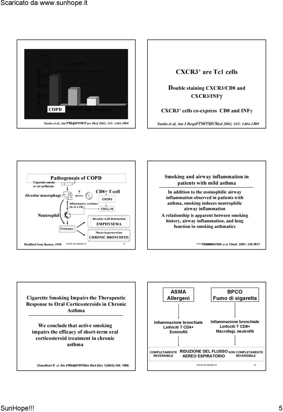 Am WWW.SUNHOPE.IT J Respir Crit Care Med 2002; 165: 1404-1409 25 WWW.SUNHOPE.IT 26 Cigarette smoke or air pollutant Alveolar macrophage Neutrophil Pathogenesis of COPD Proteases?