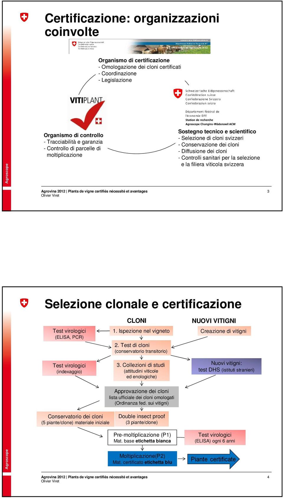 viticola svizzera 3 Selezione clonale e certificazione Test virologici (ELISA, PCR) Test virologici (indexaggio) CLONI 1. Ispezione nel vigneto 2. Test di cloni (conservatorio transitorio) 3.