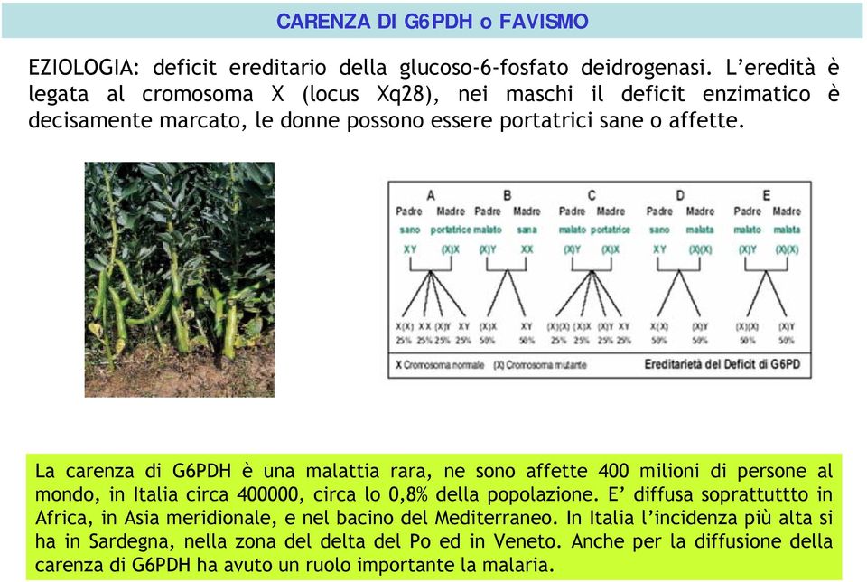 La carenza di G6PDH è una malattia rara, ne sono affette 400 milioni di persone al mondo, in Italia circa 400000, circa lo 0,8% della popolazione.