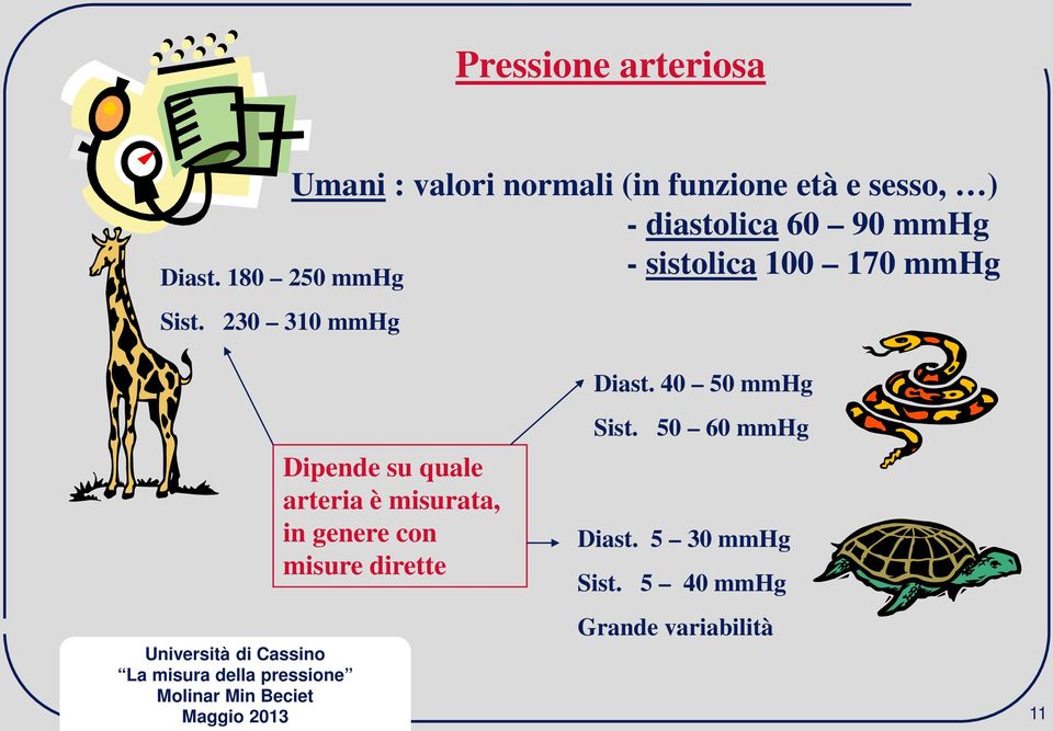 230 310 mmhg Diast.