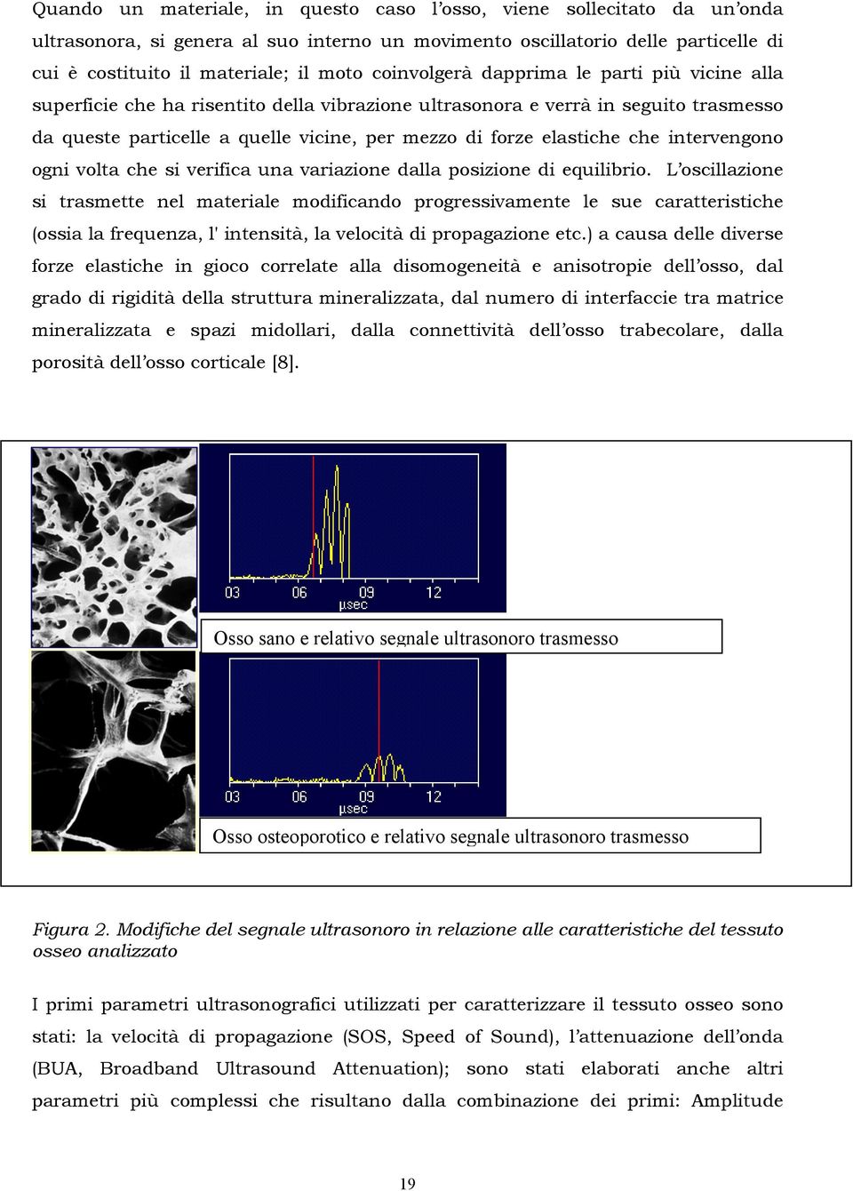 che intervengono ogni volta che si verifica una variazione dalla posizione di equilibrio.