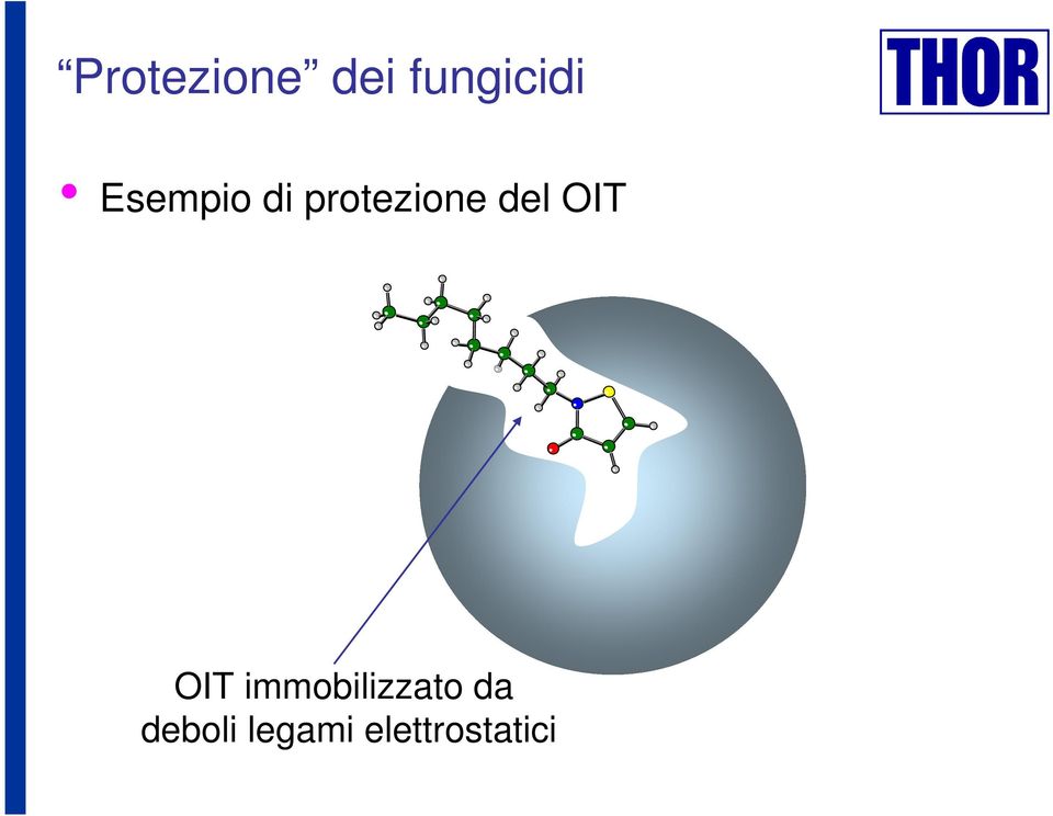 OIT OIT immobilizzato da