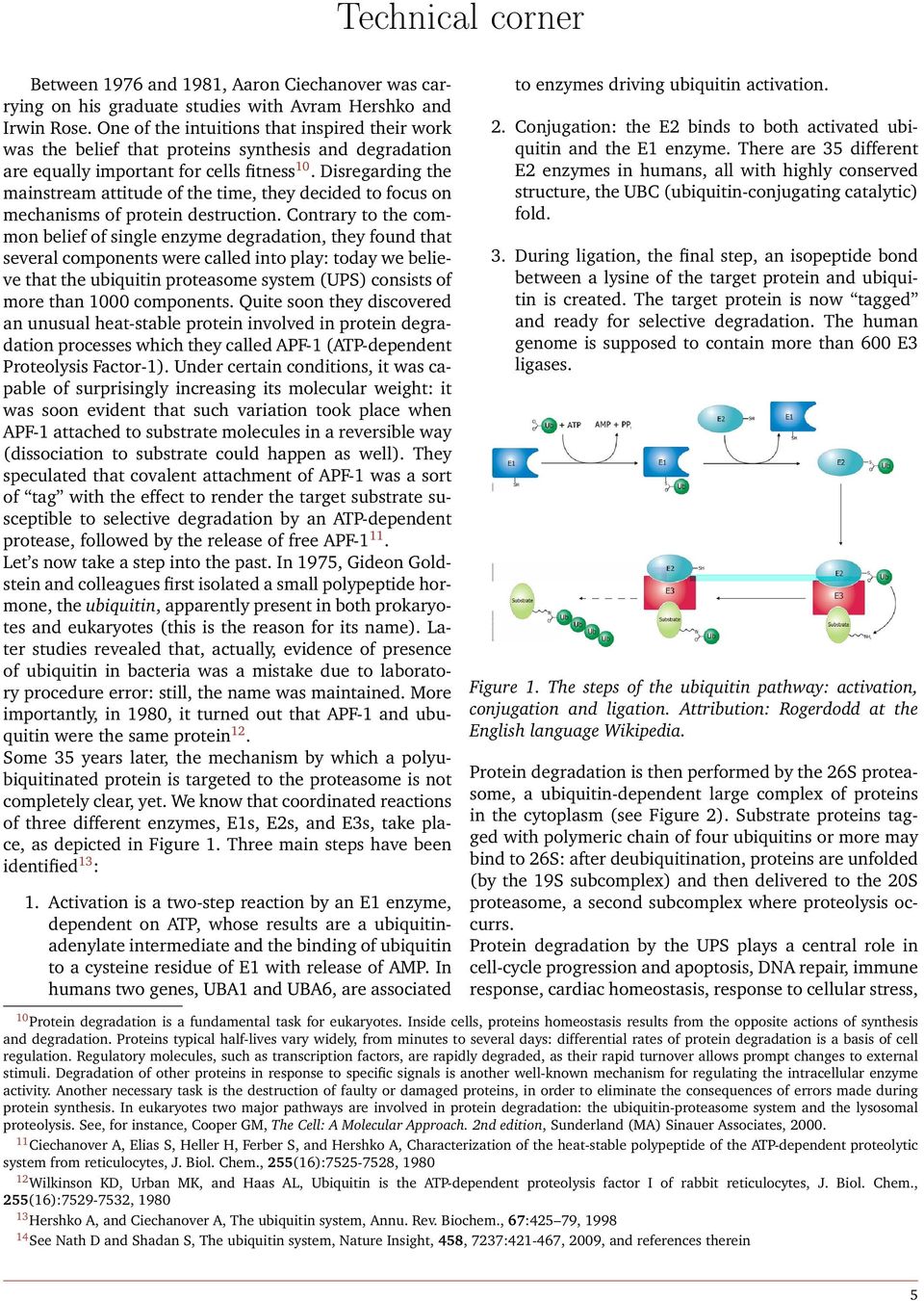 Disregarding the mainstream attitude of the time, they decided to focus on mechanisms of protein destruction.