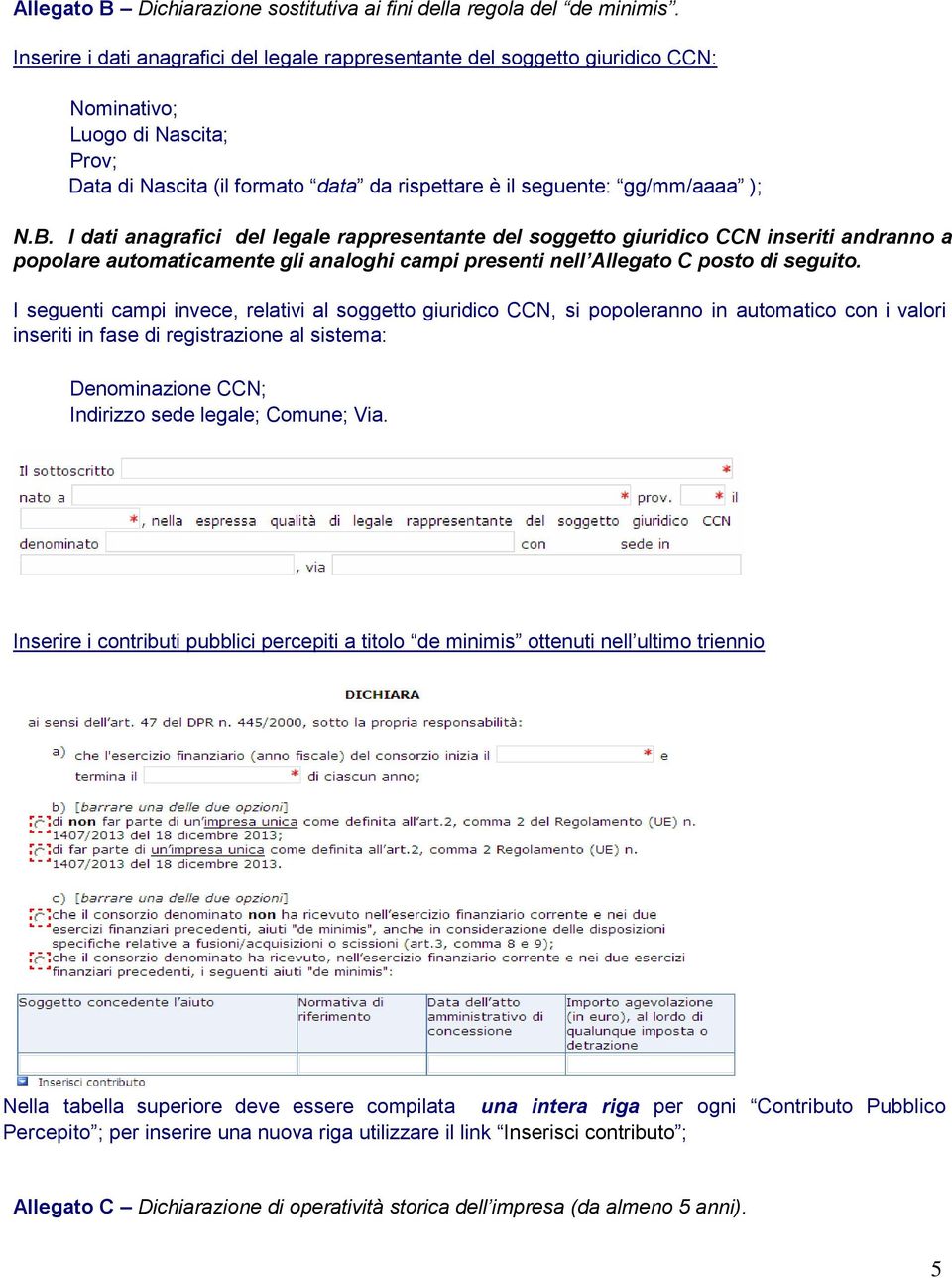 I dati anagrafici del legale rappresentante del soggetto giuridico CCN inseriti andranno a popolare automaticamente gli analoghi campi presenti nell Allegato C posto di seguito.