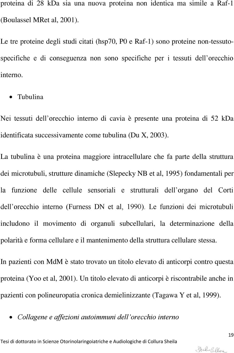 Tubulina Nei tessuti dell orecchio interno di cavia è presente una proteina di 52 kda identificata successivamente come tubulina (Du X, 2003).