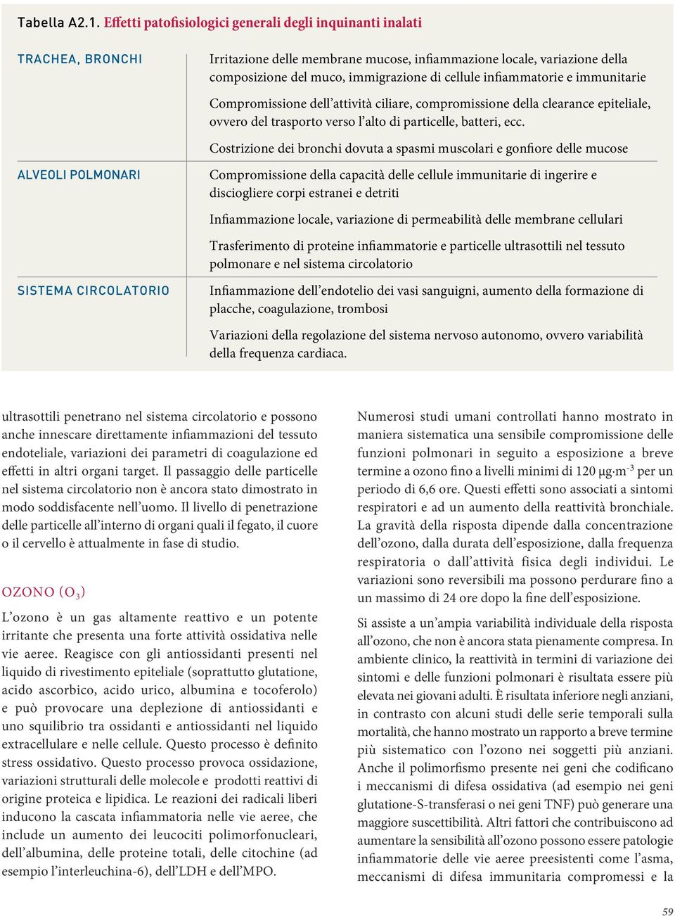 composizione del muco, immigrazione di cellule infiammatorie e immunitarie Compromissione dell attività ciliare, compromissione della clearance epiteliale, ovvero del trasporto verso l alto di