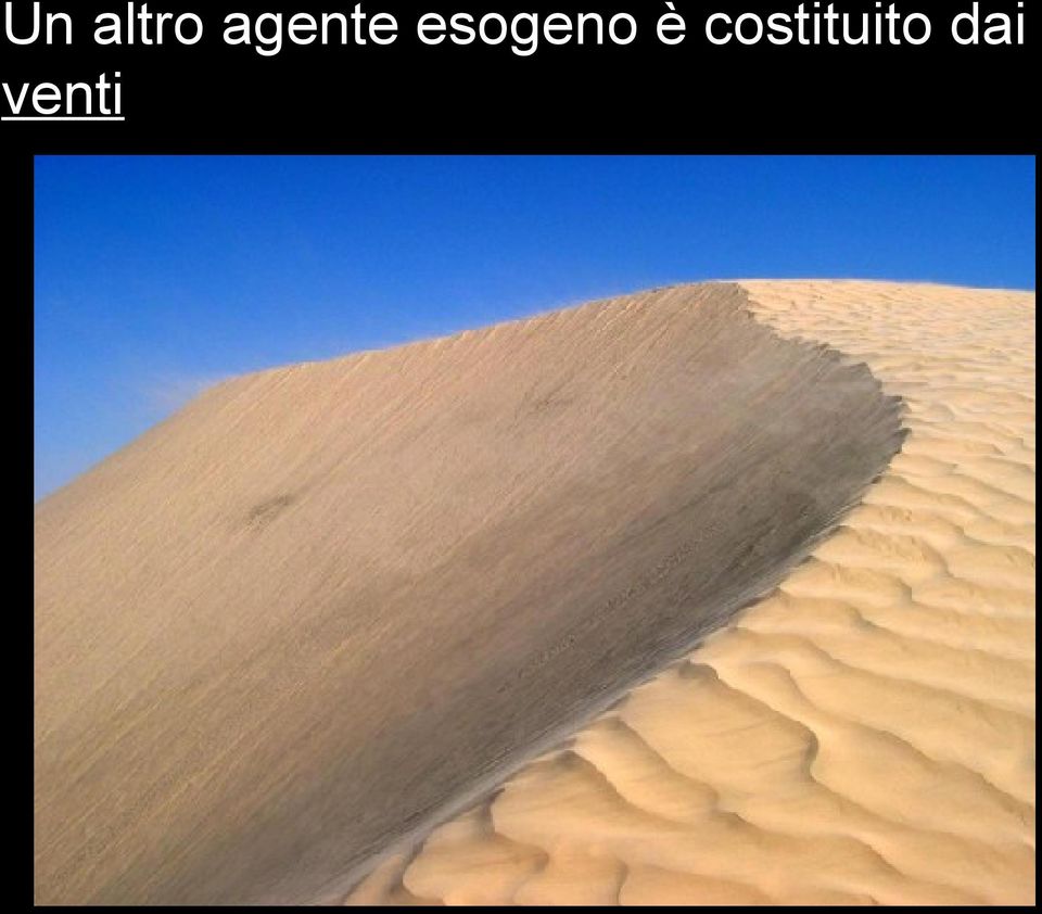 esogeno è