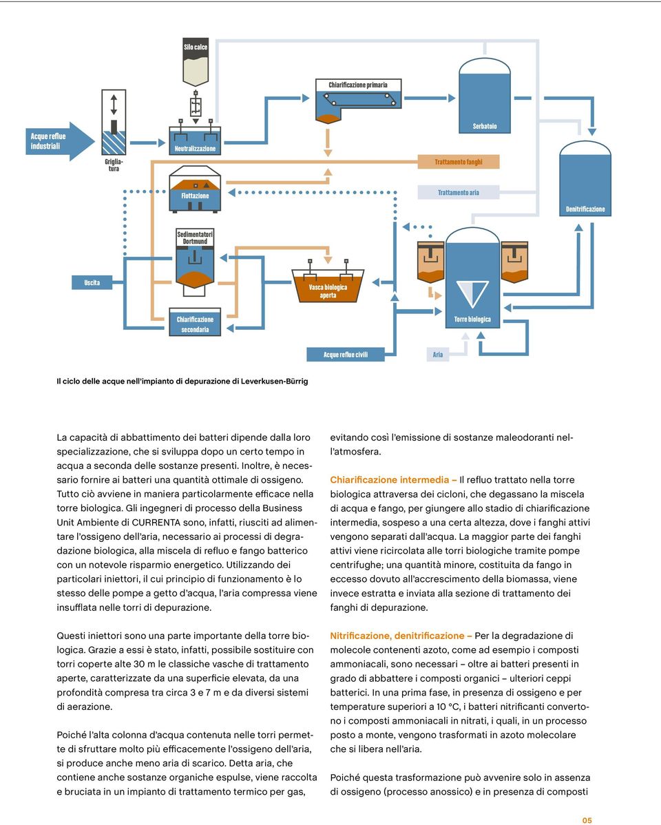 batteri dipende dalla loro specializzazione, che si sviluppa dopo un certo tempo in acqua a seconda delle sostanze presenti. Inoltre, è necessario fornire ai batteri una quantità ottimale di ossigeno.