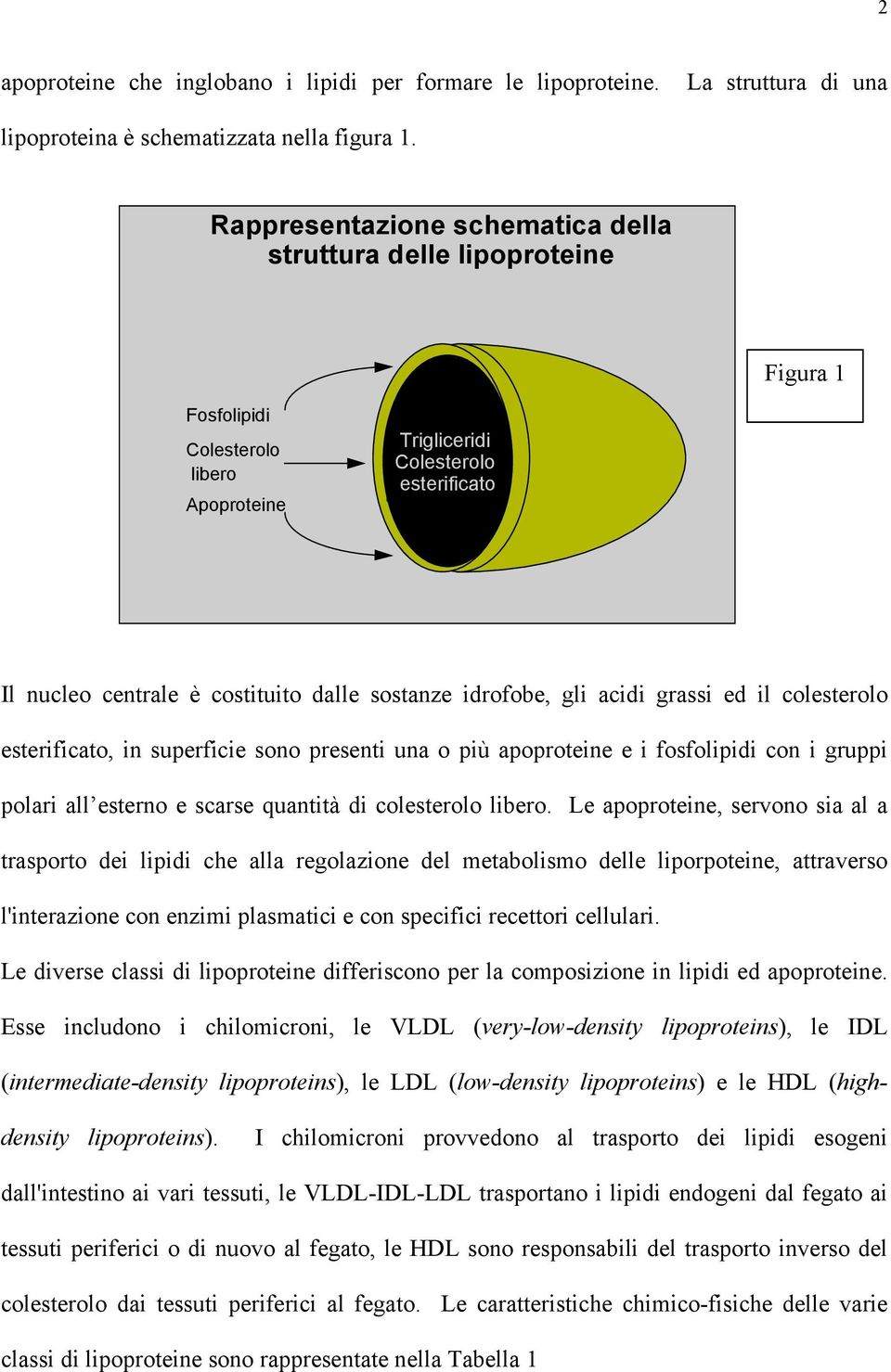 idrofobe, gli acidi grassi ed il colesterolo esterificato, in superficie sono presenti una o più apoproteine e i fosfolipidi con i gruppi polari all esterno e scarse quantità di colesterolo libero.