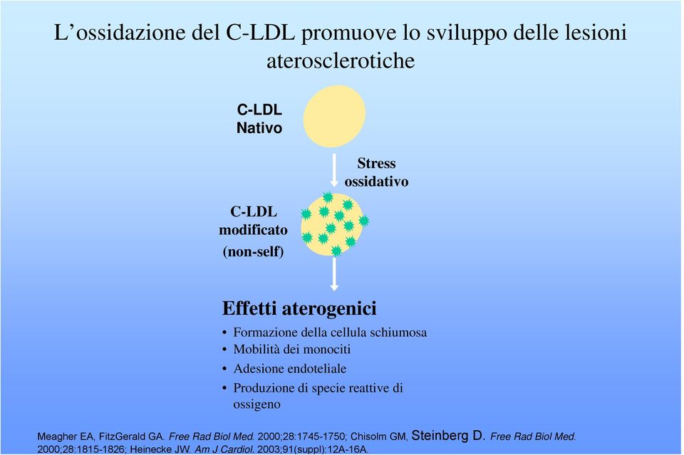 endoteliale Produzione di specie reattive di ossigeno Meagher EA, FitzGerald GA. Free Rad Biol Med.