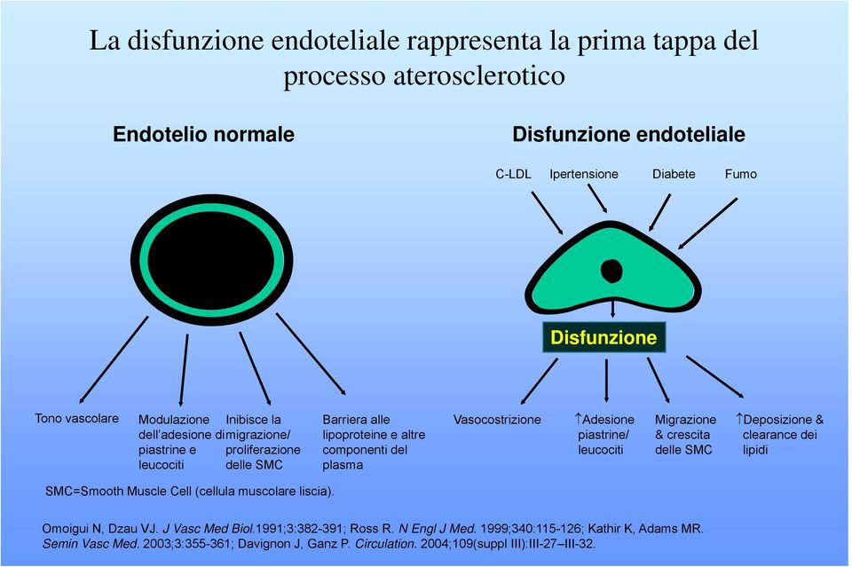 dei piastrine e leucociti proliferazione delle SMC componenti del plasma leucociti delle SMC lipidi SMC=Smooth Smooth Muscle Cell (cellula muscolare liscia). Omoigui N, Dzau VJ.