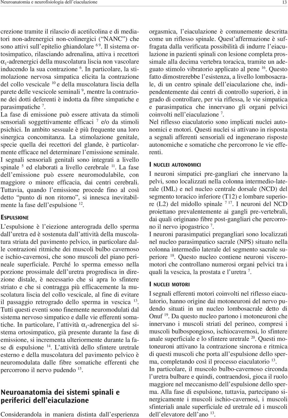 In particolare, la stimolazione nervosa simpatica elicita la contrazione del collo vescicale 10 e della muscolatura liscia della parete delle vescicole seminali 9, mentre la contrazione dei dotti