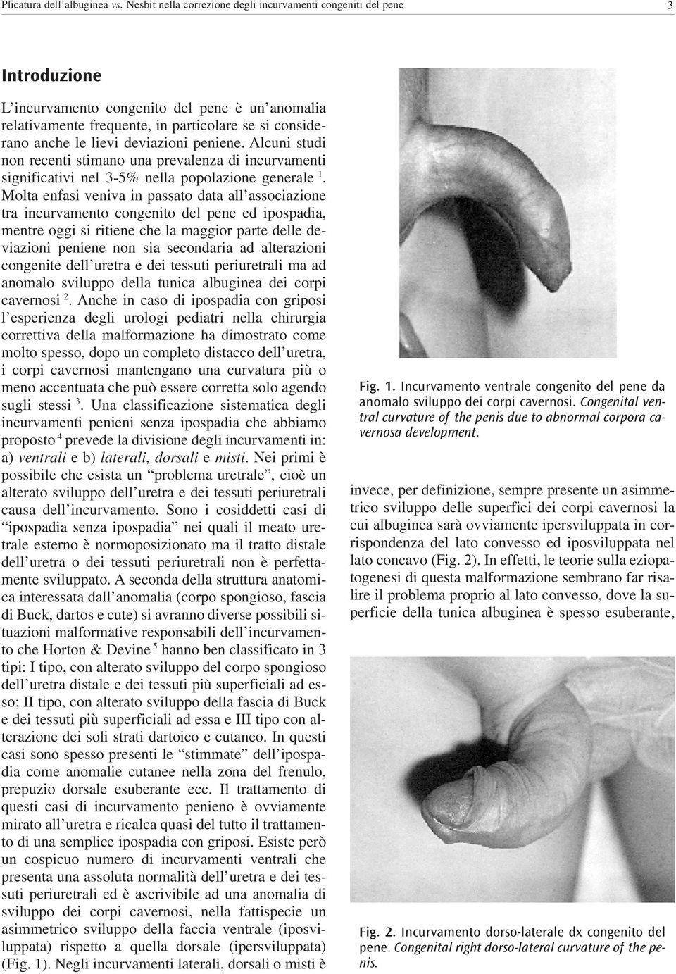 deviazioni peniene. Alcuni studi non recenti stimano una prevalenza di incurvamenti significativi nel 3-5% nella popolazione generale 1.