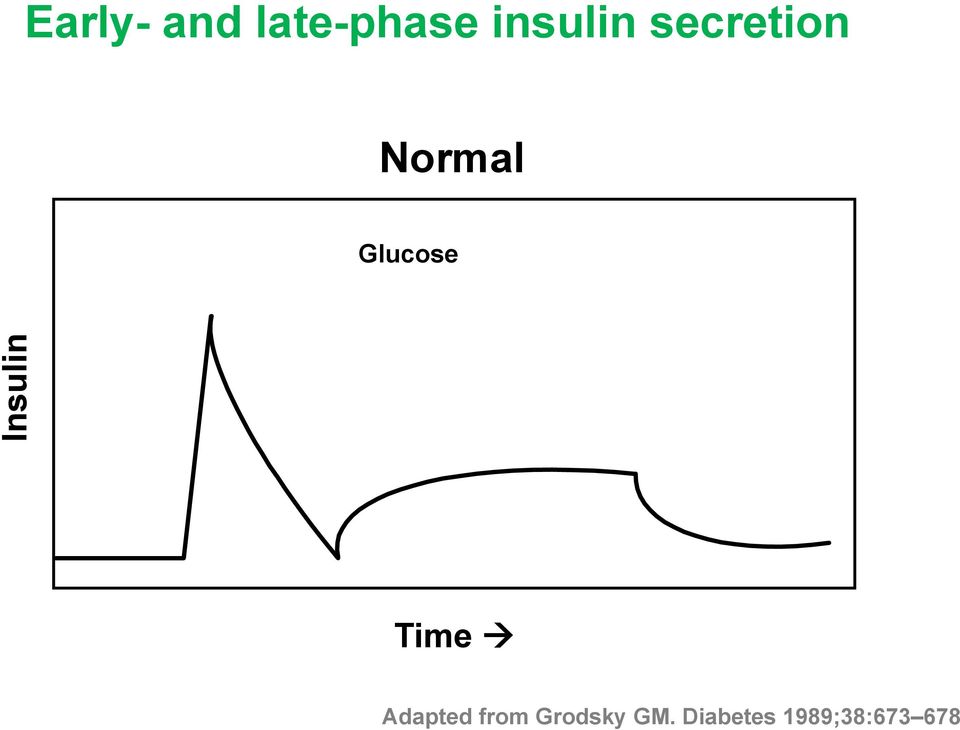 Insulin Normal Time Adapted