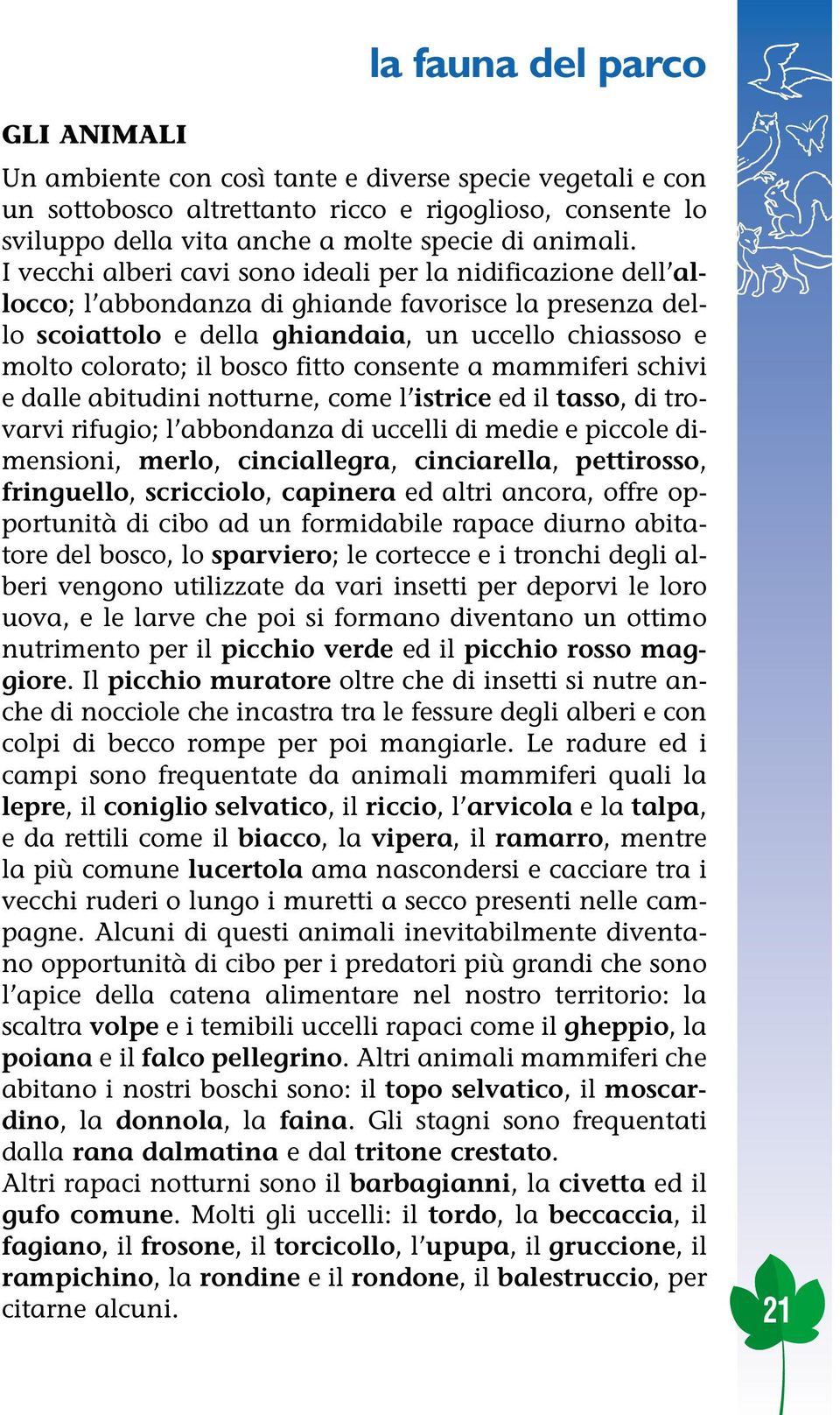 fitto consente a mammiferi schivi e dalle abitudini notturne, come l istrice ed il tasso, di trovarvi rifugio; l abbondanza di uccelli di medie e piccole dimensioni, merlo, cinciallegra, cinciarella,