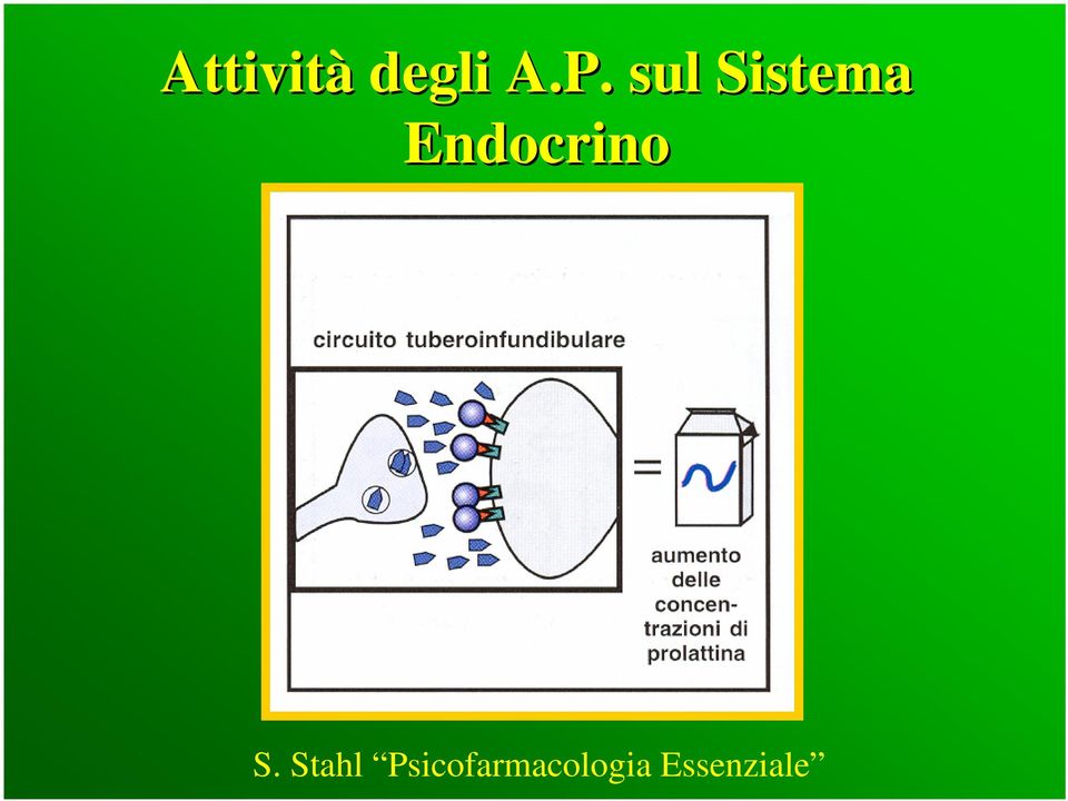 Endocrino S.