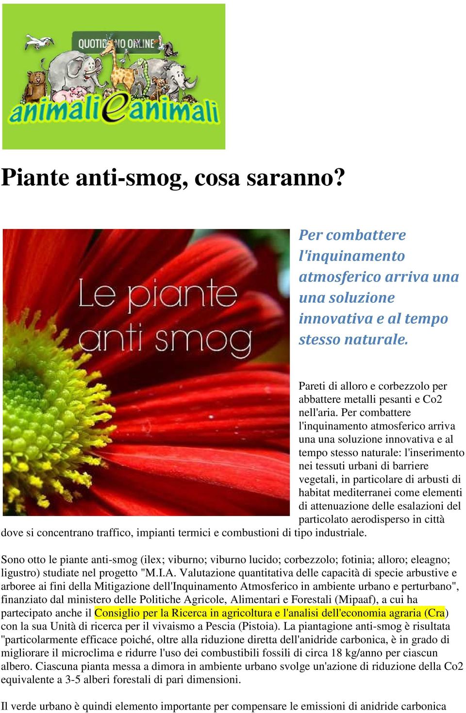 Per combattere l'inquinamento atmosferico arriva una una soluzione innovativa e al tempo stesso naturale: l'inserimento nei tessuti urbani di barriere vegetali, in particolare di arbusti di habitat