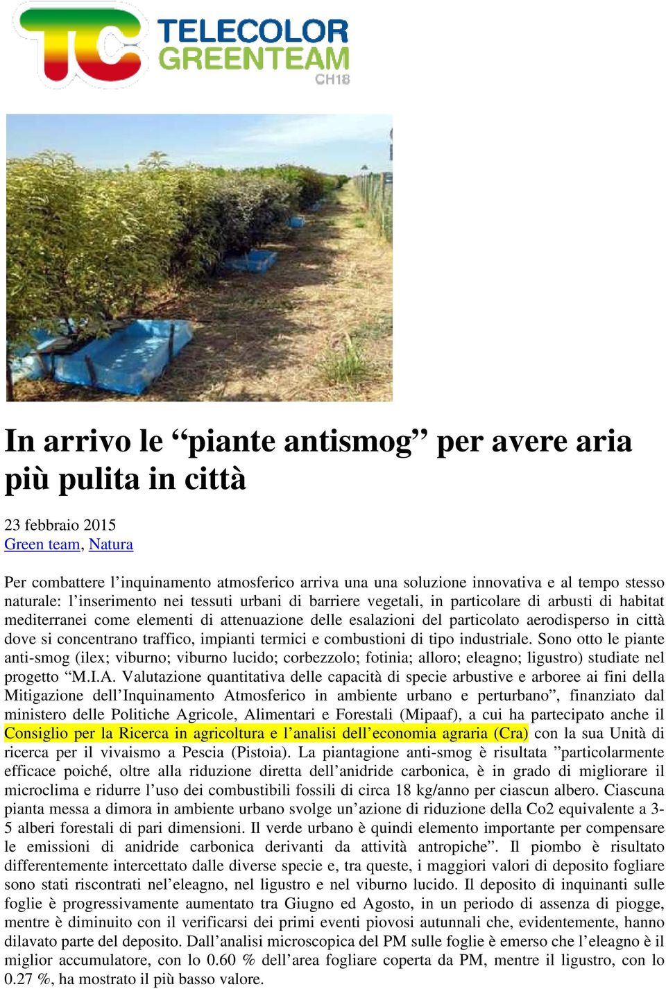 dove si concentrano traffico, impianti termici e combustioni di tipo industriale.