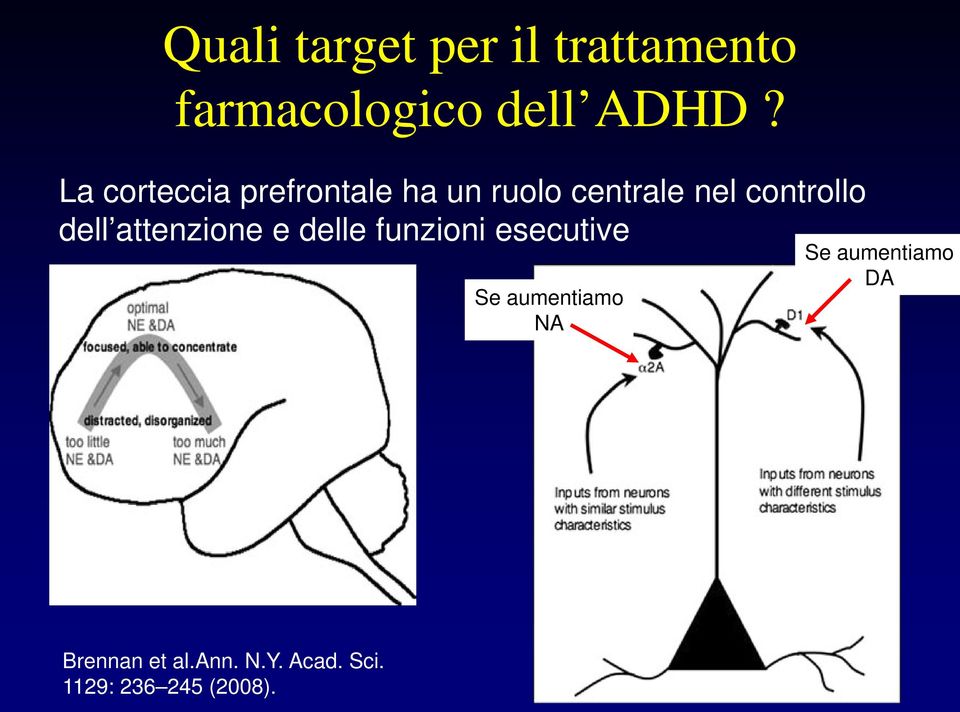 dell attenzione e delle funzioni esecutive Se aumentiamo NA Se