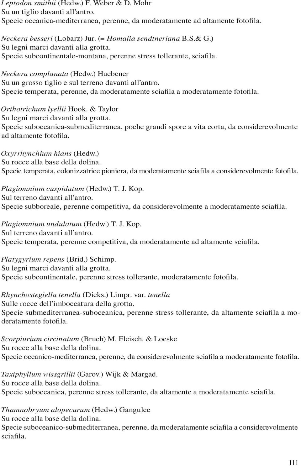 ) Huebener Su un grosso tiglio e sul terreno davanti all antro. Specie temperata, perenne, da moderatamente sciafila a moderatamente fotofila. Orthotrichum lyellii Hook.