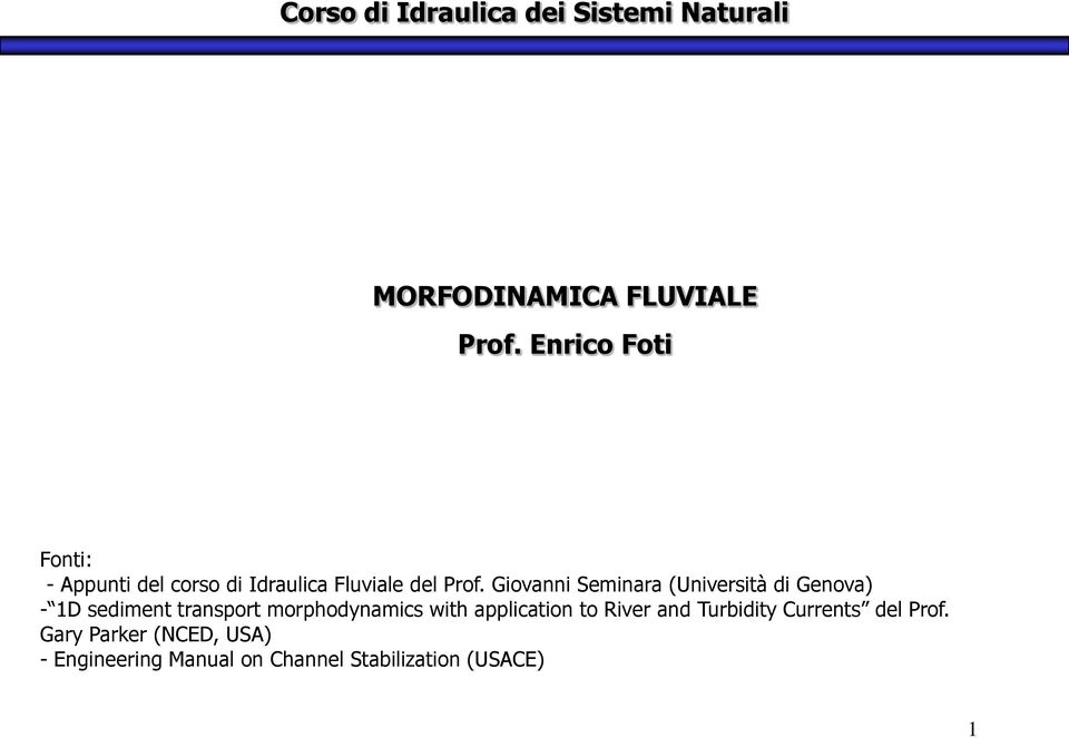 Giovanni Seminara (Università di Genova) - 1D sediment transport morphodynamics with
