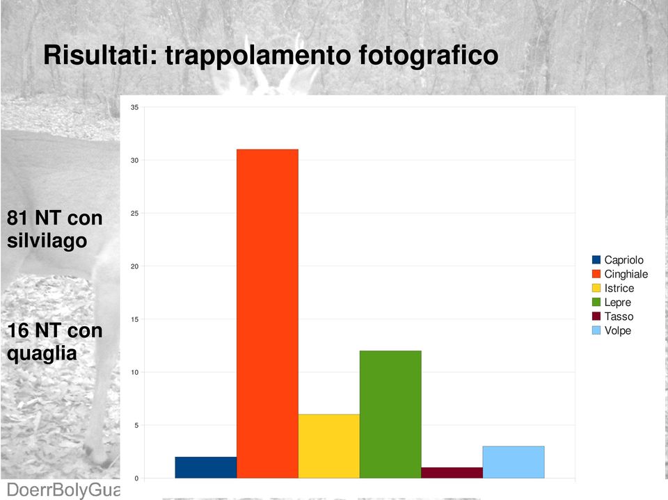 silvilago 25 20 16 NT con quaglia