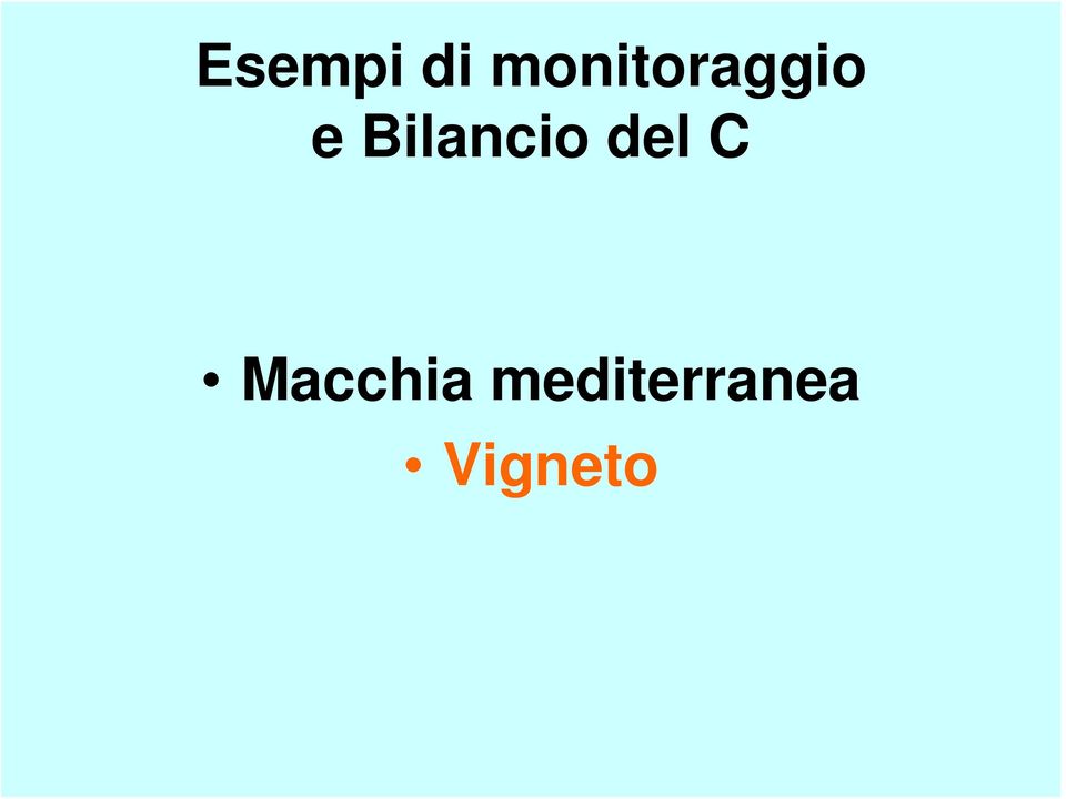 Bilancio del C