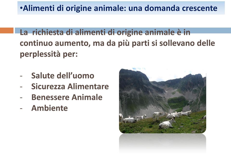 aumento, ma da più parti si sollevano delle perplessità per: