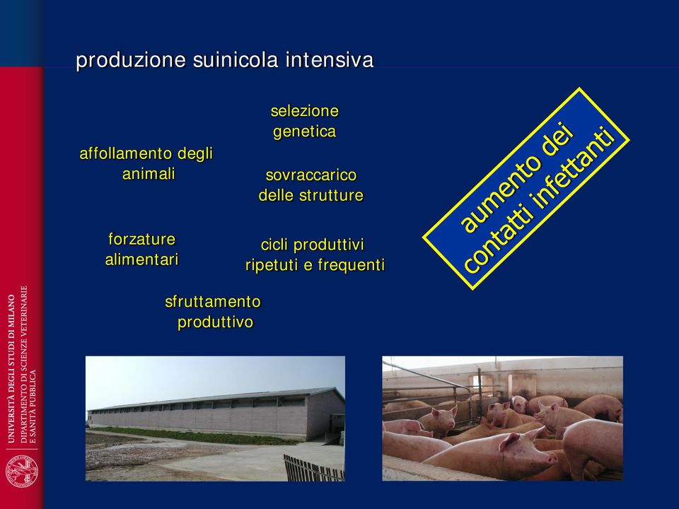 genetica sovraccarico delle strutture cicli