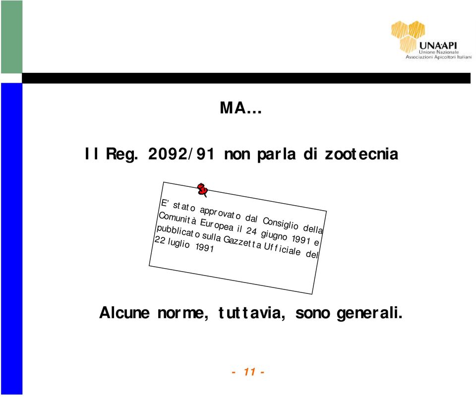 Consiglio della Comunità Europea il 24 giugno 1991 e