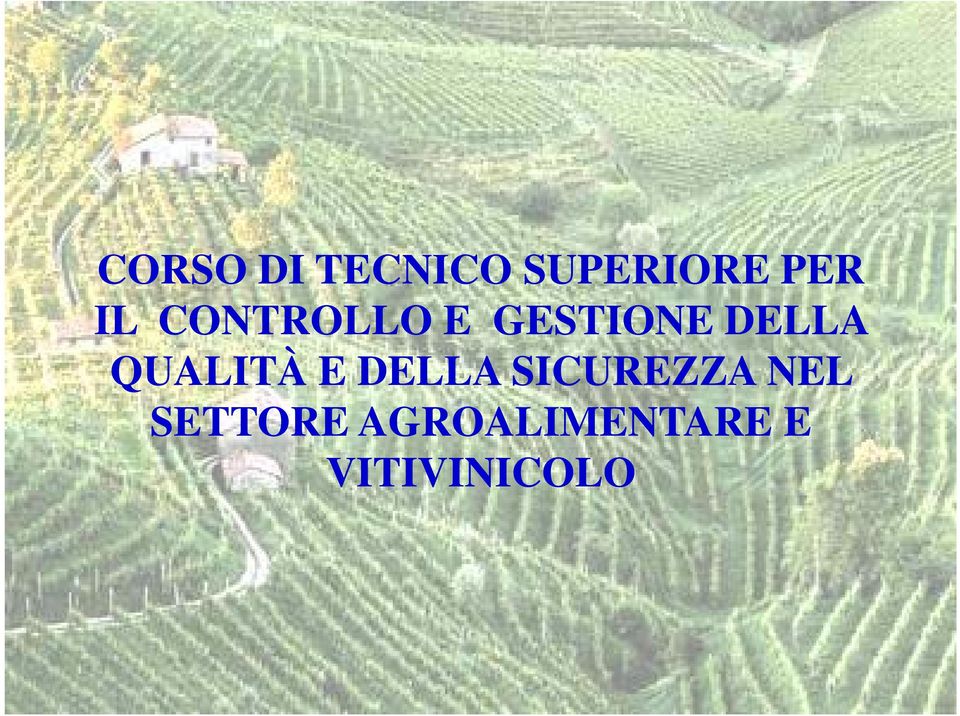 QUALITÀ E DELLA SICUREZZA NEL