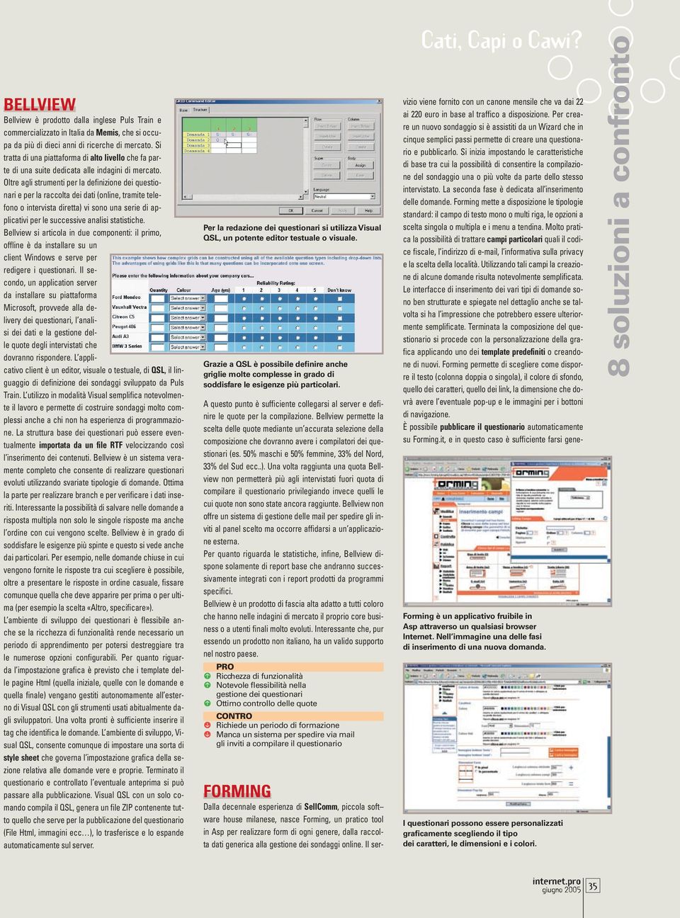 Oltre agli strumenti per la definizione dei questionari e per la raccolta dei dati (online, tramite telefono o intervista diretta) vi sono una serie di applicativi per le successive analisi