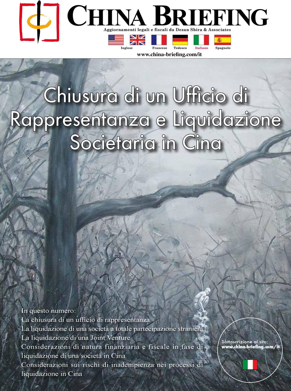 rappresentanza La liquidazione di una società a totale partecipazione straniera La liquidazione di una Joint Venture Considerazioni di