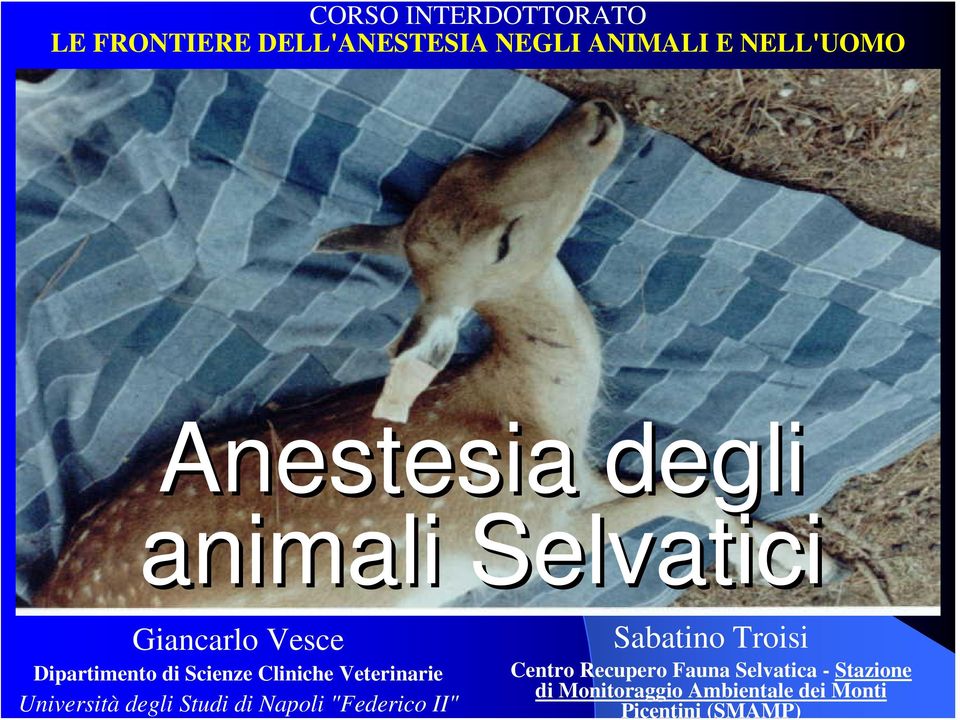 Studi di Napoli "Federico II" Sabatino Troisi Centro Recupero Fauna Selvatica -