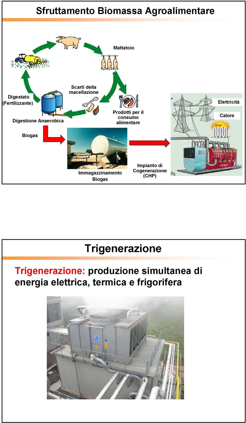 Calore Biogas Immagazzinamento Biogas Impianto di Cogenerazione (CHP)